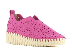 Camila's Zapatos^Zapatos De Cuna Leaves