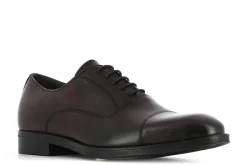 Casas Collection Zapatos^Zapatos Kiel